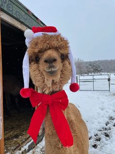 a llama wearing a santa hat in the snow