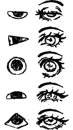 an image of different types of eyes drawn in pencil on paper with the words,'eye