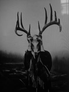 a black and white photo of a deer with antlers on it's head