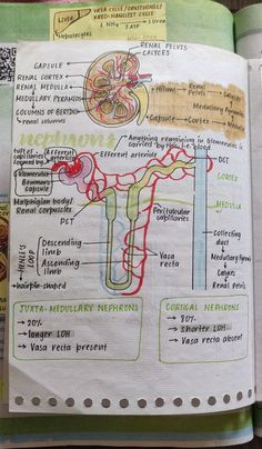 an open medical book with diagrams on it