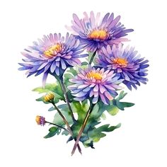 watercolor painting of purple flowers with green leaves