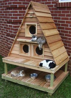 three cats are sitting on top of a cat house that is built into the grass