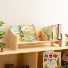 the bookshelf is full of children's books and plants, including cactuses