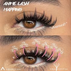 Lash Placement, Lash Lengths, Lash Maps, Lash Map, Lash Mapping, Lashes Tutorial, Lash Technician, Lash Growth Serum