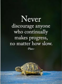 a turtle sitting on top of a table next to a quote that says never discharge anyone who