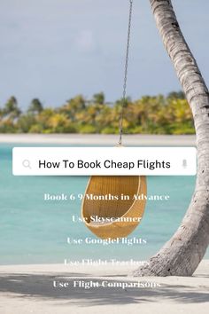 a palm tree with the text how to book cheap flights on it and an image of a hammock