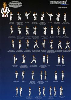 a poster showing the various positions of karate