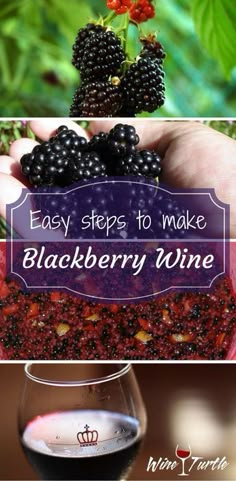 blackberrys and wine with the words easy steps to make blackberry wine