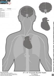 an image of the human heart and lungs