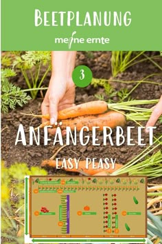 an image of a vegetable garden with text overlay that reads, beginner's guide to beetplanung me / me / ente