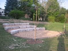 a small tree is growing in the middle of a stone garden bed with steps leading up to it