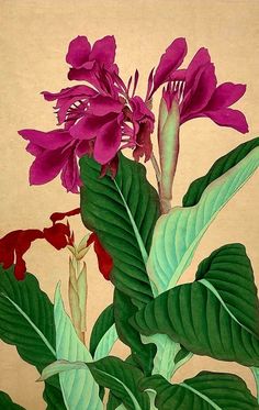 a painting of purple flowers and green leaves