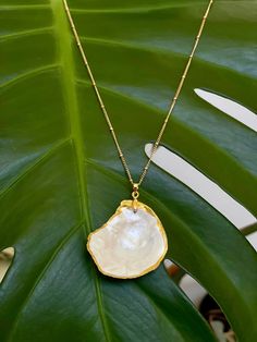 a gold necklace with a white shell hanging from it's side on a green leaf