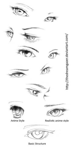 the different types of eyes and how they are used to make them look like they're