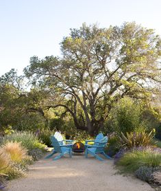 two blue chairs sitting on top of a gravel road next to a tree and bushes