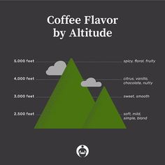 coffee flavored by altitude info poster