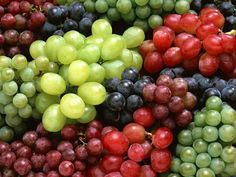 many different types of grapes are grouped together