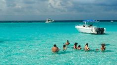 several people in the water near a boat