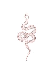 a drawing of a snake on a white background