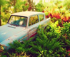 an old car is parked in the bushes