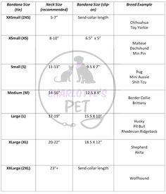 the size and measurements for dogs