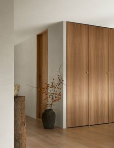 a room with wooden cabinets and a vase on the floor in front of some doors