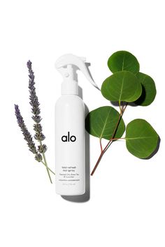 Total Refresh Mat Spray | Alo Yoga Yoga Mat Spray, Yoga Equipment, Eucalyptus Essential Oil, Sweat It Out, Lavender Scent, Natural Cleaning Products, Post Workout, Alo Yoga, How To Stay Healthy