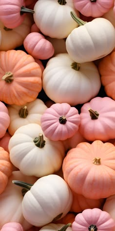 many different colored pumpkins are arranged together