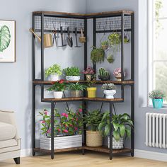 Tribesigns Corner Plant Stand, 67 Tall Flower Shelf with 15 Hanging Hooks Tribesigns Baker's Rack Ideas, Home Design Inspiration Living Room, Wide Bookshelf, Home Design Ideas Living Room, Plant Home Decor, Living Room Aesthetics, Baker's Rack, Open Storage Shelves, Indoor Oasis