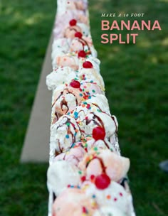 a long line of stuffed animals sitting next to each other on top of a grass covered field