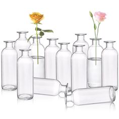 PRICES MAY VARY. Package includes 12 packs of glass bud vases, each measures 2" bottom D x 6.3" H, and its opening mouth diameter is 0.8 inch. Packed in foam and carton to avoid breakage during shipping. Peohud clear bud vases are made of premium quality glass material, durable and solid. Our vases are thicker on all sides and bottoms to last longer than normal vases. The glass flower vases has a simple and classic transparent design that allows you to clearly see the stems. The narrow neck give Bottle Centerpieces Wedding, Flower Bud Vases, Small Flower Vases, Decorative Glass Bottles, Plastic Champagne Glasses, Glass Bud Vases, Floral Vases, Small Flower Arrangements, Centerpiece Home