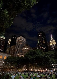 many people are sitting on the grass in front of tall buildings and trees at night