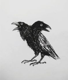 a drawing of a black bird on a white background