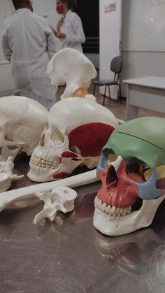 several human skulls and bones on a table in a room with two people looking at them