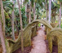 two people walking down a path made out of branches in the middle of palm trees