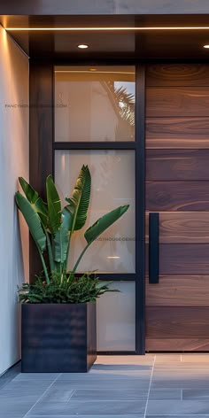 a plant in a black pot sitting next to a wooden door with glass panels on it