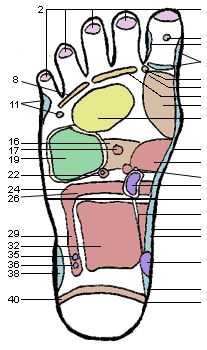 pastel Acupuncture Charts, Acupuncture Points Chart, Shiatsu Massage Acupressure, Health Tricks, Vipassana Meditation