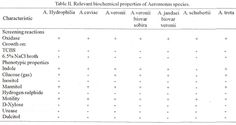 Lab, Math Equations