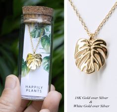 Our 18k Gold monstera necklace is made of high quality materials, hypoallergenic and nickel-free. The botanical leaf earring designs were inspired by my very own Rhaphidophora Tetrasperma plant (AKA Mini Monstera). They are minimal, simple and perfect for everyday wear. You can bring your love of plants with you, wherever life may lead. THE PERFECT GIFT These botanical earring studs would make the perfect gift for the trendy plant enthusiast in your life, plant lover who needs a little green in Tetrasperma Plant, Monstera Necklace, Mini Monstera, Necklaces For Her, Rhaphidophora Tetrasperma, Mom Best Friend, Hypoallergenic Necklace, Trendy Plants, Leaf Earring