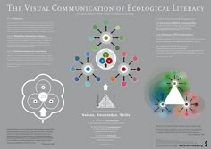 the visual communication of eocial literracy infographical poster with text