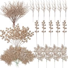 four different types of dried flowers and branches