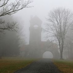 a clock tower in the middle of a foggy park