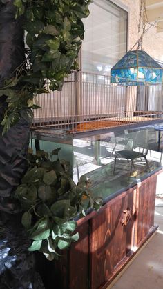 a bird cage sitting on top of a wooden cabinet