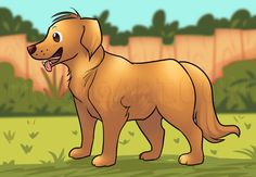 a brown dog standing on top of a lush green field