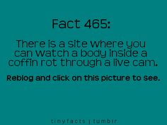 a blue background with the words fact 465 there is a site where you can watch a body inside a coffin rot through a live cam