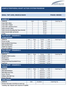 the sample form for an action system