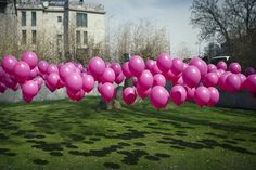 a bunch of pink balloons floating in the air over a green field with buildings behind it