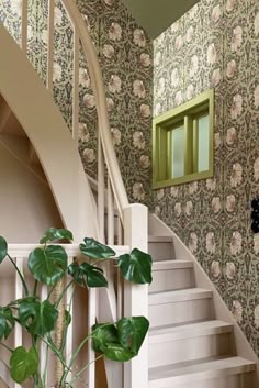 there is a potted plant next to the stairs in this house with floral wallpaper