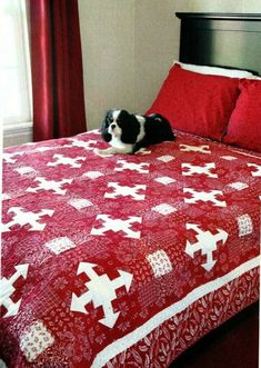 a black and white dog laying on top of a red bedspread in a bedroom