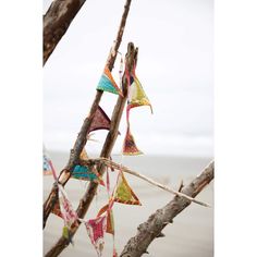 several colorful kites hanging from branches on the beach